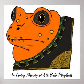 Golden Toad Memorial Poster