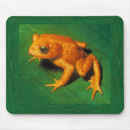 Golden Toad Mousepad Muismat (Voorkant)