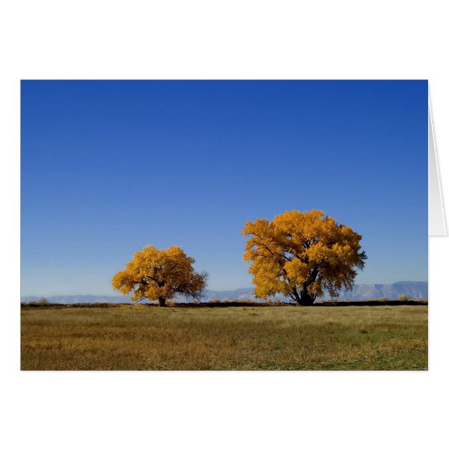 Golden Trees (Voorkant Horizontaal)