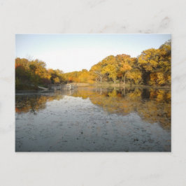 Golden Trees en Pond ... Mijn najaarsfoto 2004 Briefkaart