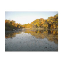 Golden Trees en Pond ... Mijn najaarsfoto 2004