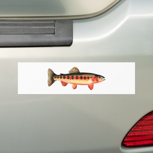 Golden Trout Bumpersticker (Op auto)