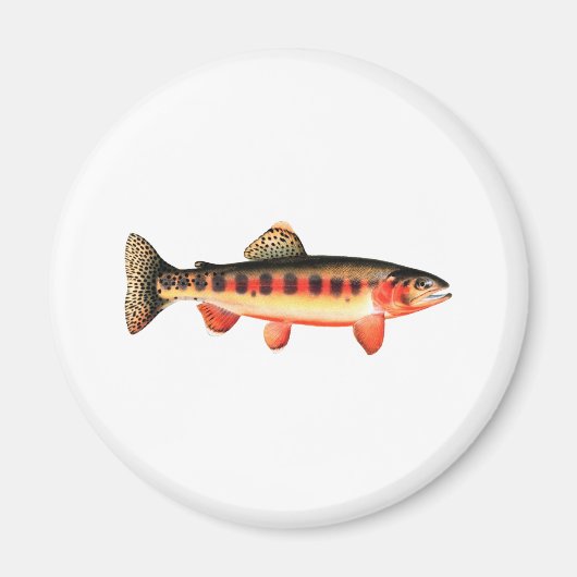 Golden Trout Magneet (Voorkant)