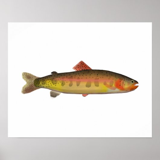 Golden Trout Poster (Voorkant)