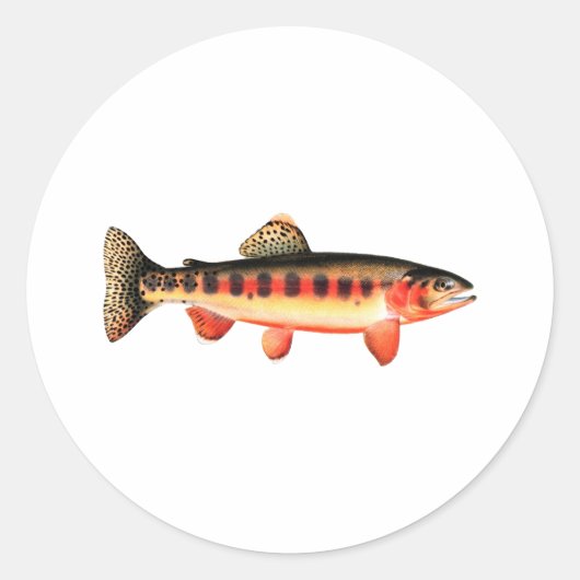 Golden Trout Ronde Sticker (Voorkant)