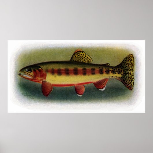 Golden Trout van Volcano Creek Poster (Voorkant)