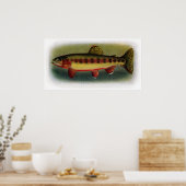 Golden Trout van Volcano Creek Poster (Keuken)