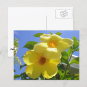 Golden Trumpet Flowers I Briefkaart (Voorkant / Achterkant)