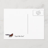 Golden Trumpet Flowers I Briefkaart (Achterkant)