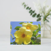 Golden Trumpet Flowers I Briefkaart (Staand voorkant)
