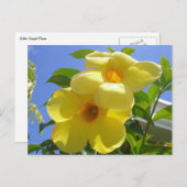 Golden Trumpet Flowers I Briefkaart (Voorkant / Achterkant)