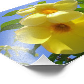 Golden Trumpet Flowers I Foto Afdruk (Hoek)