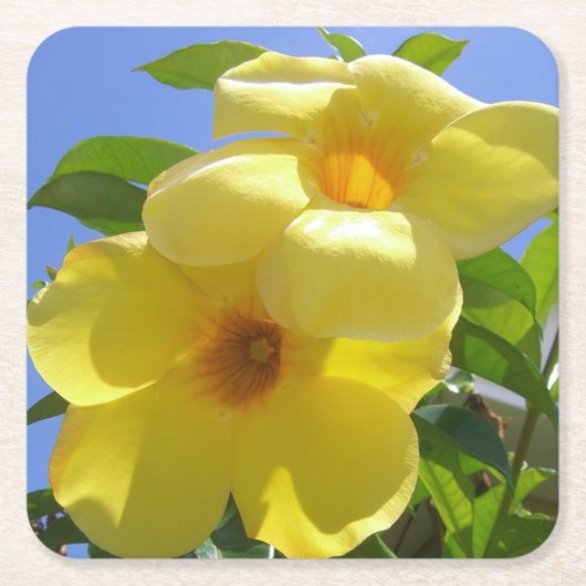 Golden Trumpet Flowers I Kartonnen Onderzetters (Voorkant)