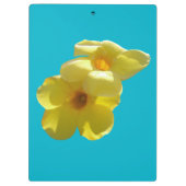 Golden Trumpet Flowers I Klembord (Achterkant)