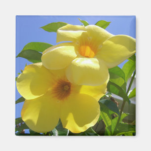 Golden Trumpet Flowers I Magneet
