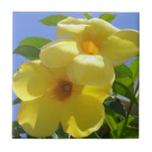 Golden Trumpet Flowers I Tegeltje (Voorkant)