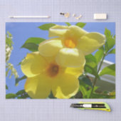 Golden Trumpet Flowers I Tissuepapier (Craft)
