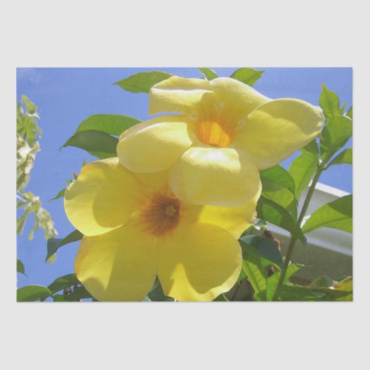 Golden Trumpet Flowers I Tissuepapier (Voorkant)