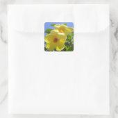 Golden Trumpet Flowers I Vierkante Sticker (Tas)