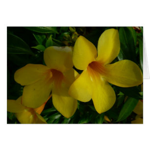Golden Trumpet Flowers II Tropisch