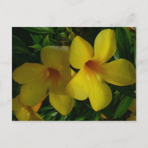 Golden Trumpet Flowers II Tropisch Briefkaart