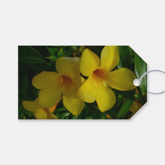 Golden Trumpet Flowers II Tropisch Cadeaulabel (Voorkant (Horizontaal))