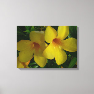 Golden Trumpet Flowers II Tropisch Canvas Afdruk