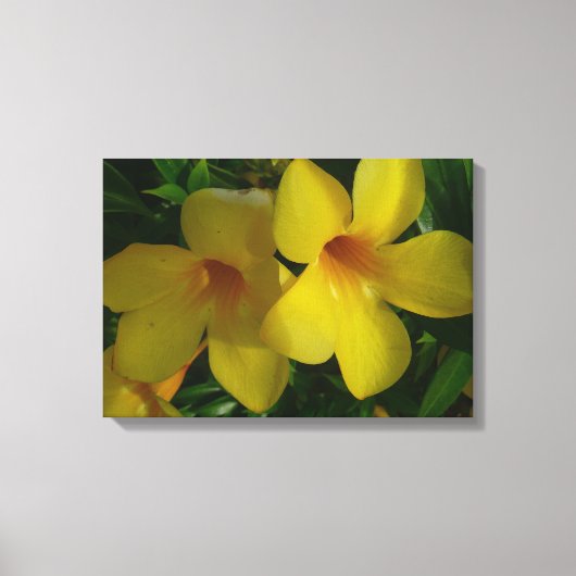 Golden Trumpet Flowers II Tropisch Canvas Afdruk (Voorkant)
