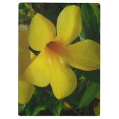 Golden Trumpet Flowers II Tropisch Klembord (Achterkant)