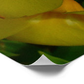 Golden Trumpet Flowers II Tropisch Poster (Hoek)