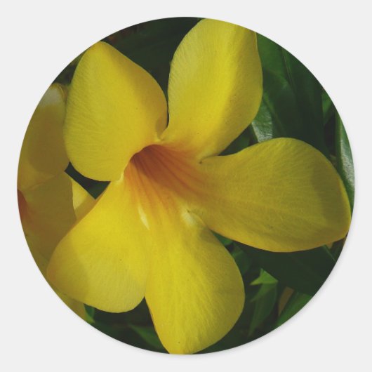 Golden Trumpet Flowers II Tropisch Ronde Sticker (Voorkant)