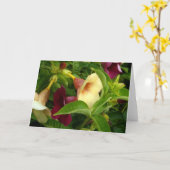 Golden Trumpet Kaart (Gele Bloem)