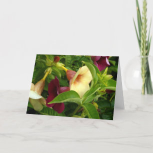 Golden Trumpet Kaart