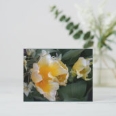 Golden Tulips Briefkaart (Staand voorkant)