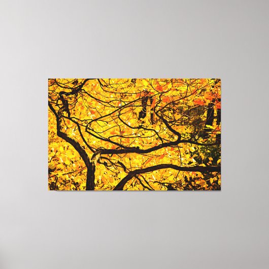 Golden veins in het najaar canvas afdruk (Voorkant)