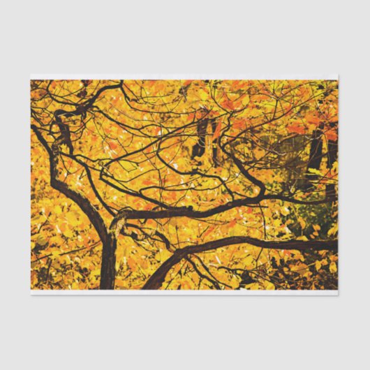 Golden veins in het najaar tissuepapier (Voorkant)