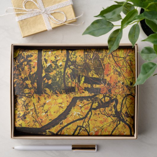 Golden veins in het najaar tissuepapier (Geschenk)