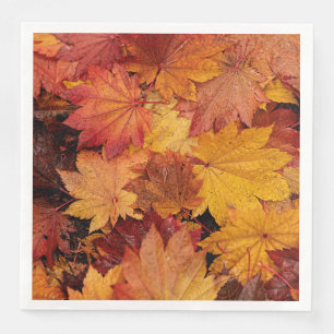 GOLDEN VERLIES VAN AUTUMN SERVET