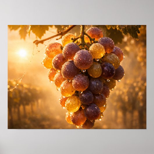 Golden Vineyard Grapes Poster - Autumn Sun (Voorkant)