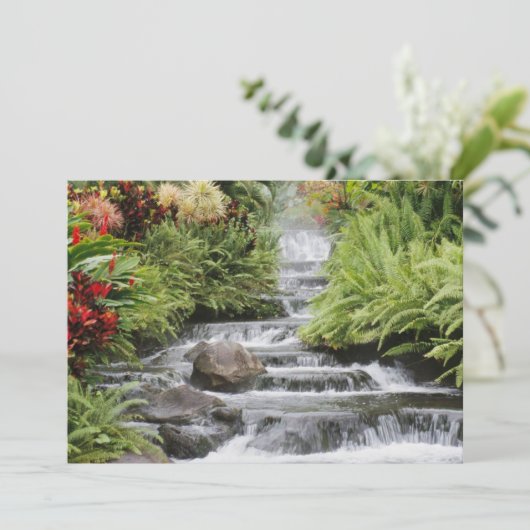 Golden Waterfall (Staand voorkant)