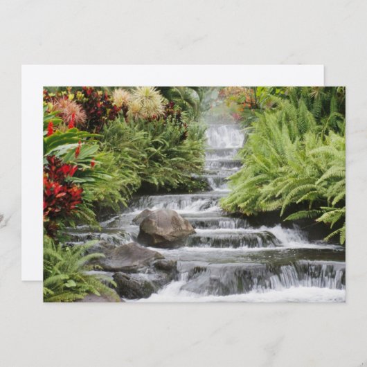 Golden Waterfall (Voorkant / Achterkant)