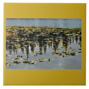 Golden Waters Tegeltje
