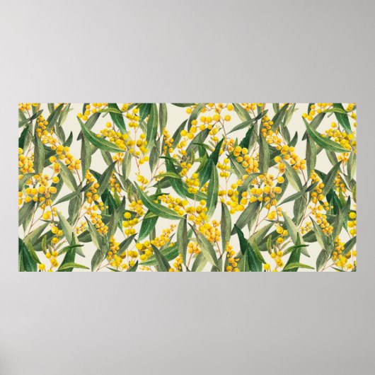 Golden Wattle (Acacia pycnantha) is de Australisch Poster (Voorkant)