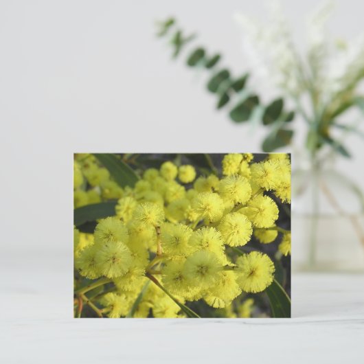 Golden Wattle Briefkaart (Staand voorkant)