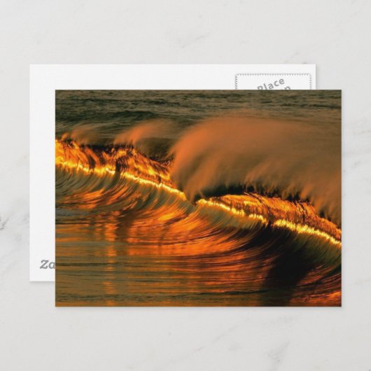 Golden Wave op Sunset, Mexico Briefkaart (Voorkant / Achterkant)