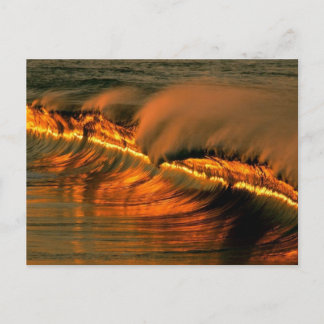 Golden Wave op Sunset, Mexico Briefkaart