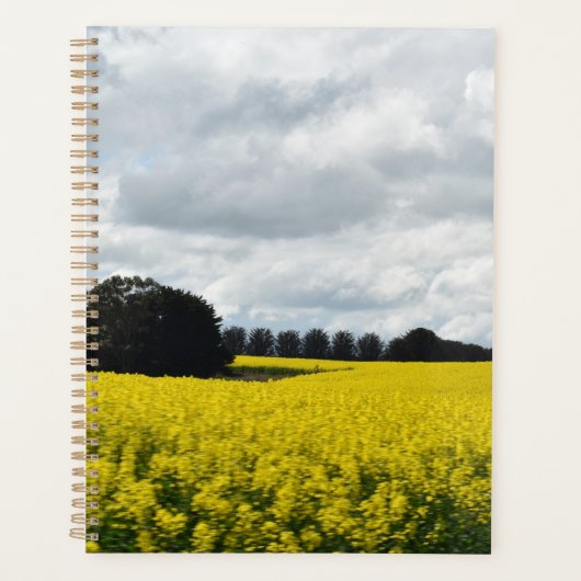 Golden Waves of Streatham Planner (Voorkant)