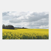 Golden Waves of Streatham Rechthoekige Sticker (Voorkant)