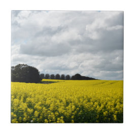 Golden Waves of Streatham Tegeltje