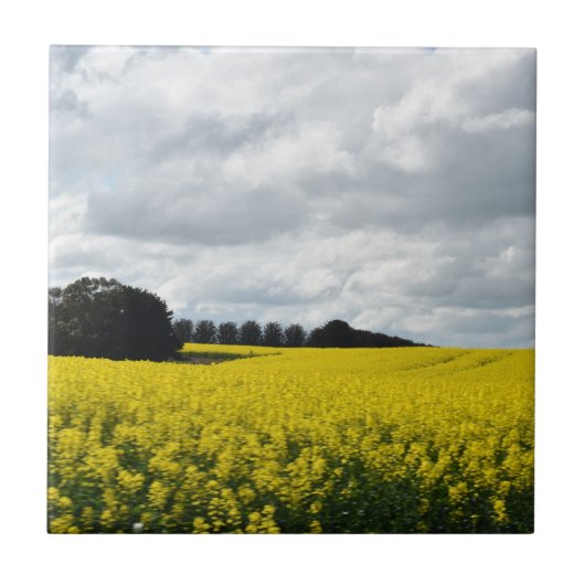 Golden Waves of Streatham Tegeltje (Voorkant)